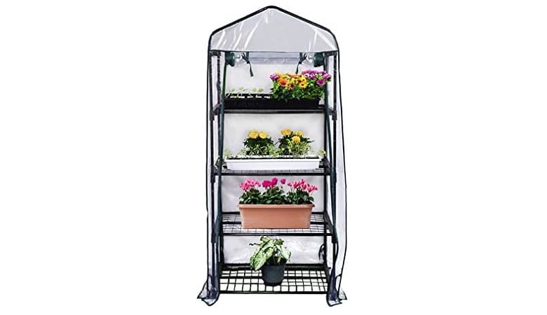 Best Mini Greenhouse Kit for Your First Urban Garden 3