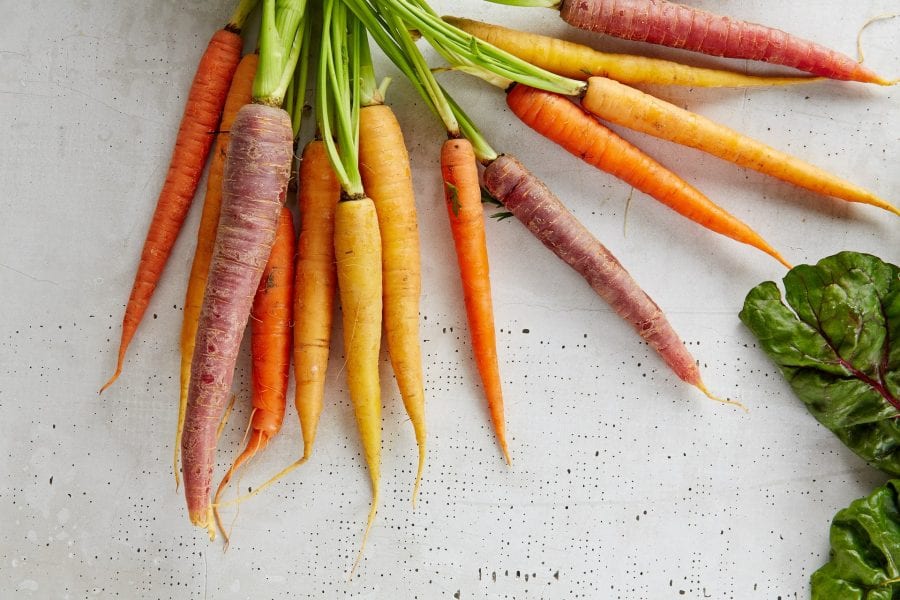 How To Grow Carrots Indoors Harper's Nurseries