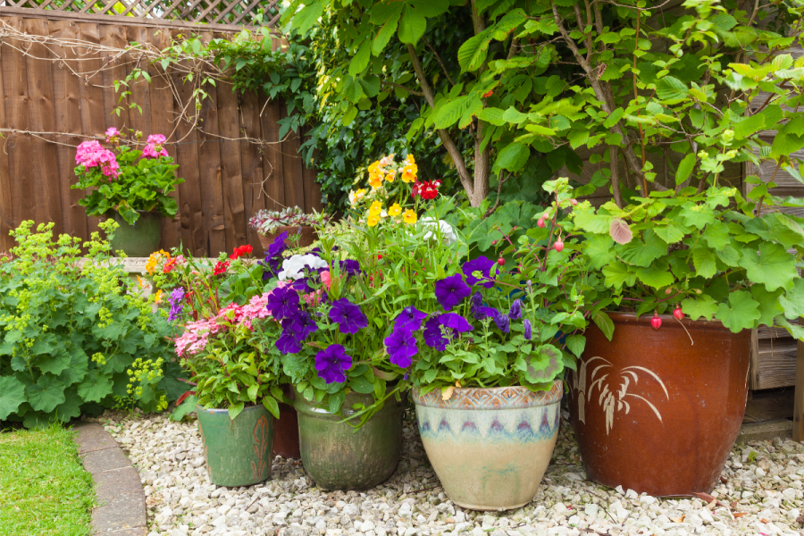 30 Fantastic Corner Garden Ideas Harper's Nurseries